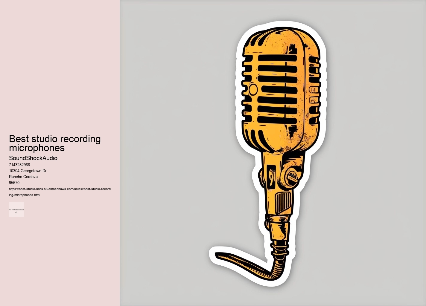 best studio recording microphones