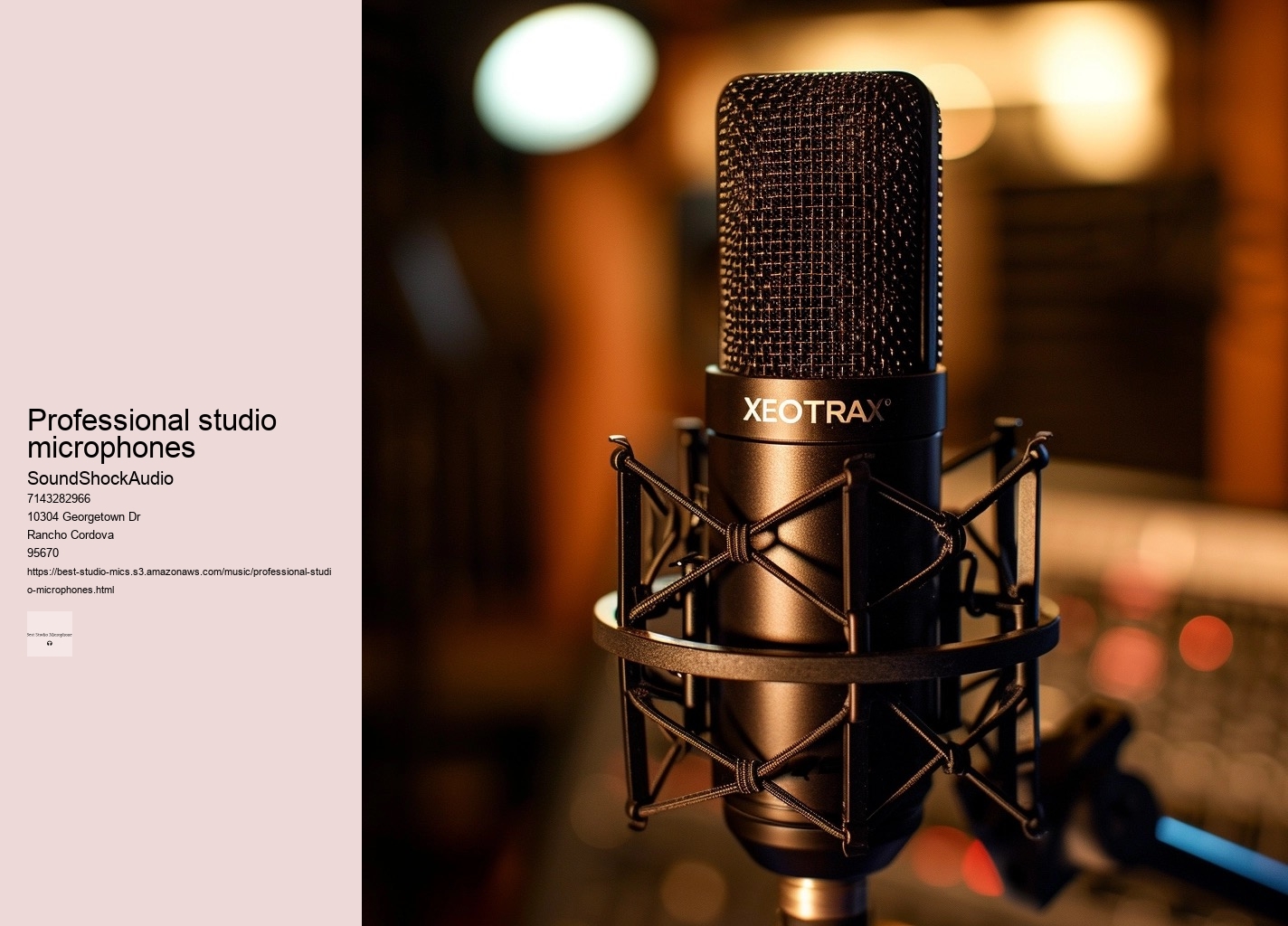 professional studio microphones