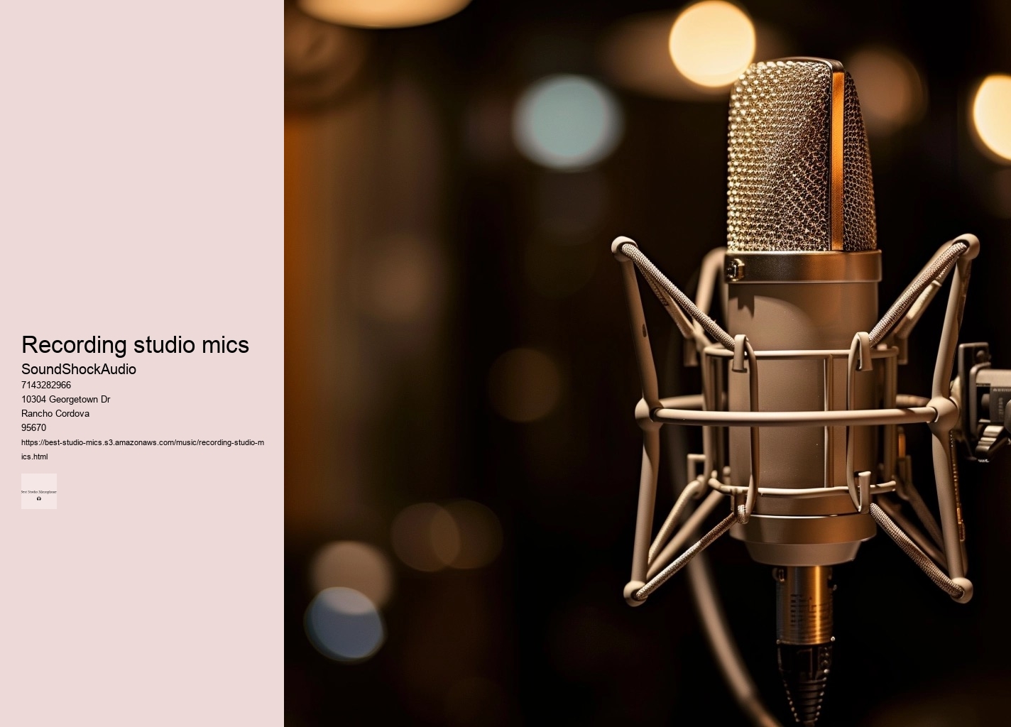 recording studio mics
