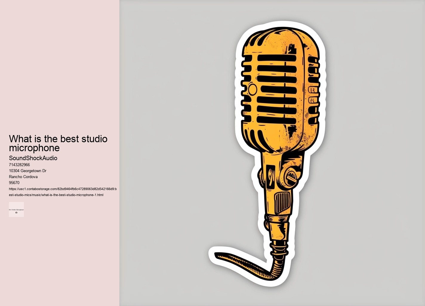 what is the best studio microphone